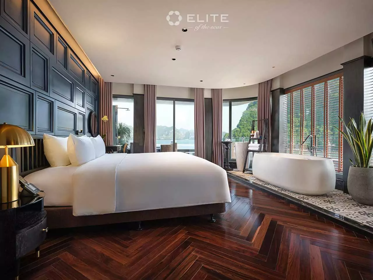 Elite Executive Premium Suite 2