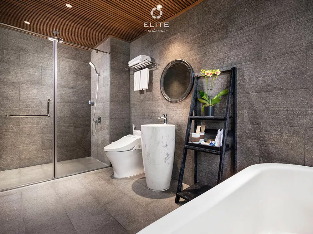 Elite Junior Premium Suite 4