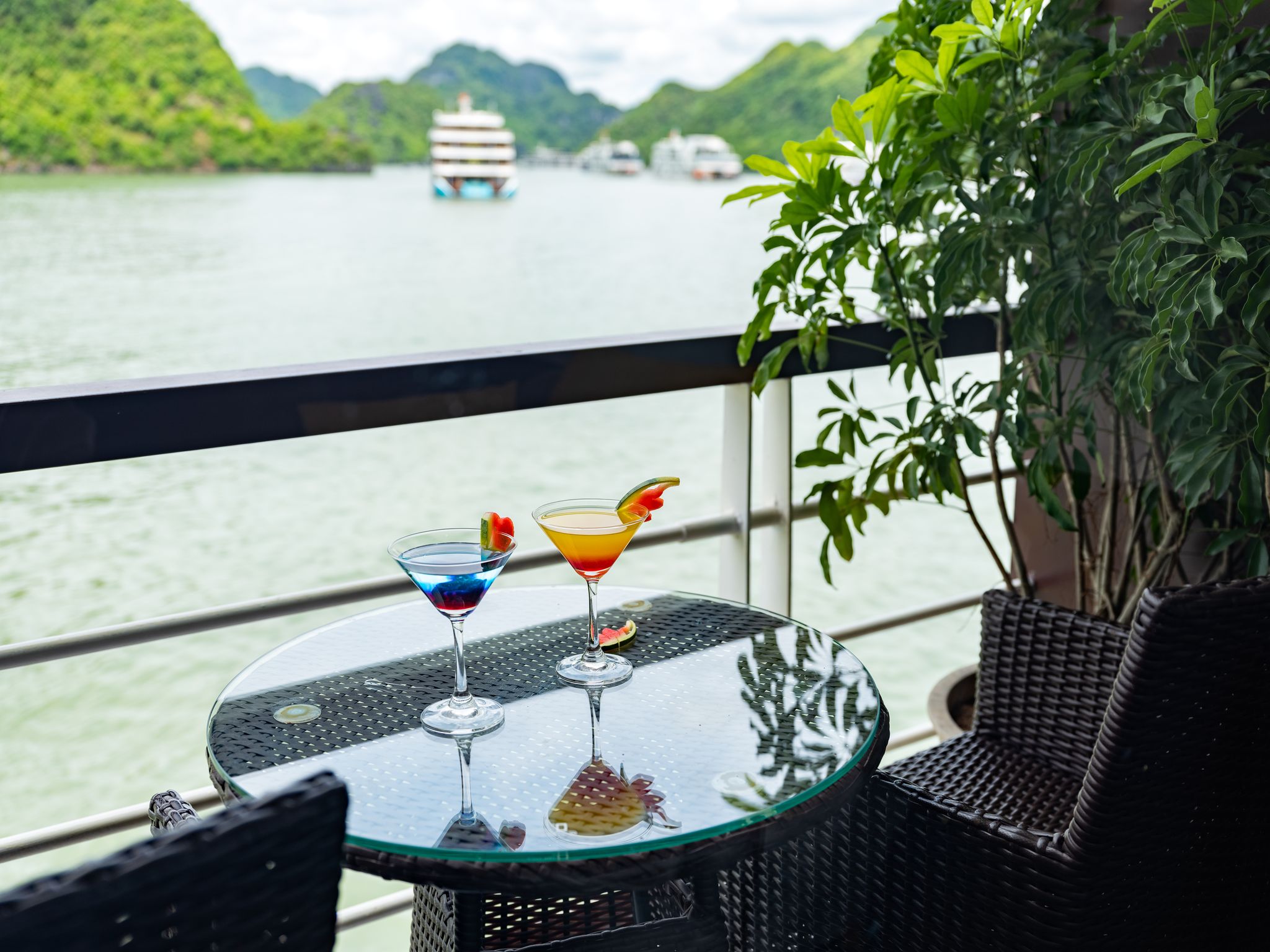 Le Journey Elegance Cruise - Senior Suite 4