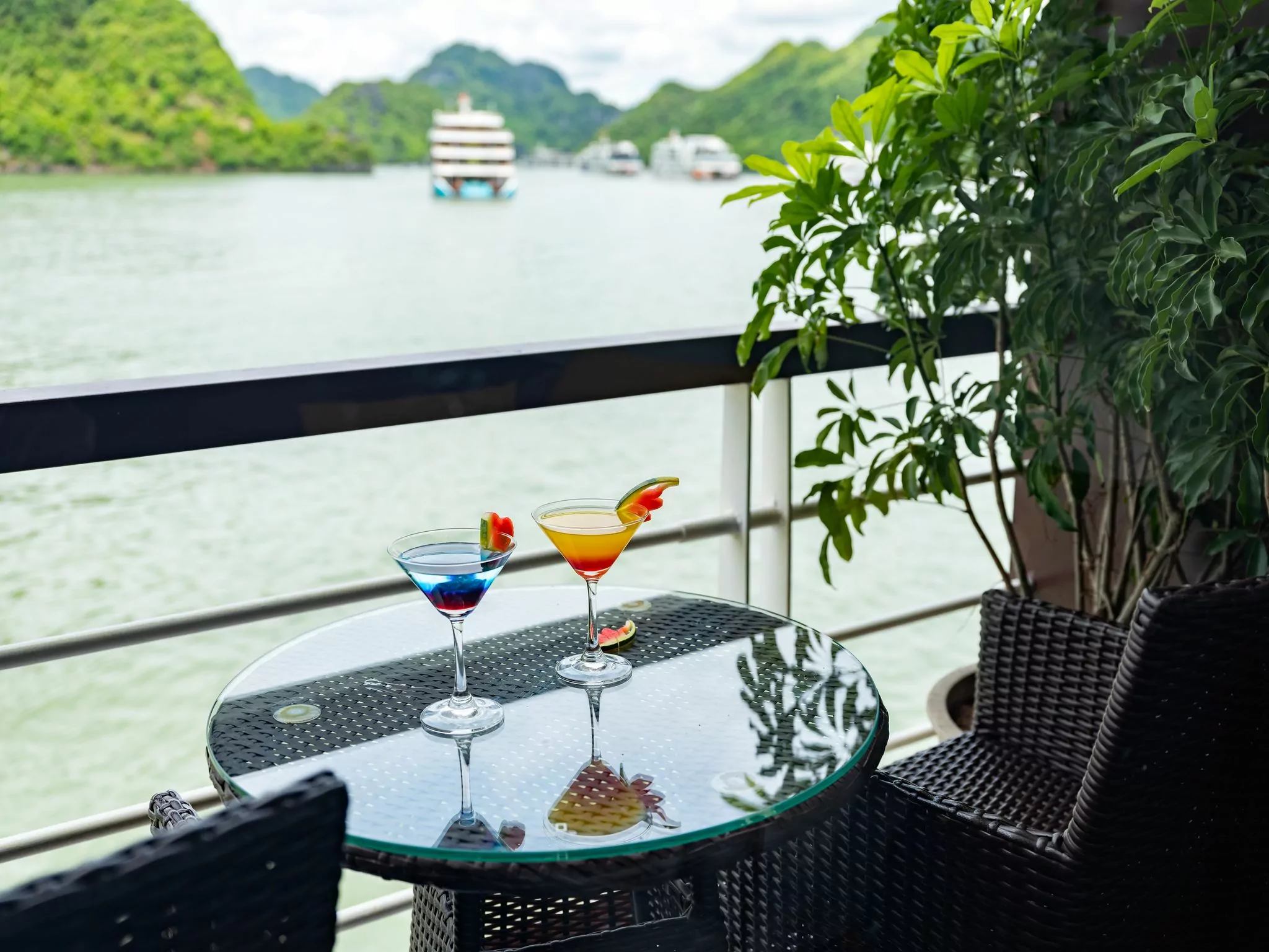 Le Journey Elegance Cruise - Senior Suite 4
