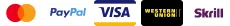 Accepted payment methods: Visa, Mastercard, PayPal, UnionPay and Skrill