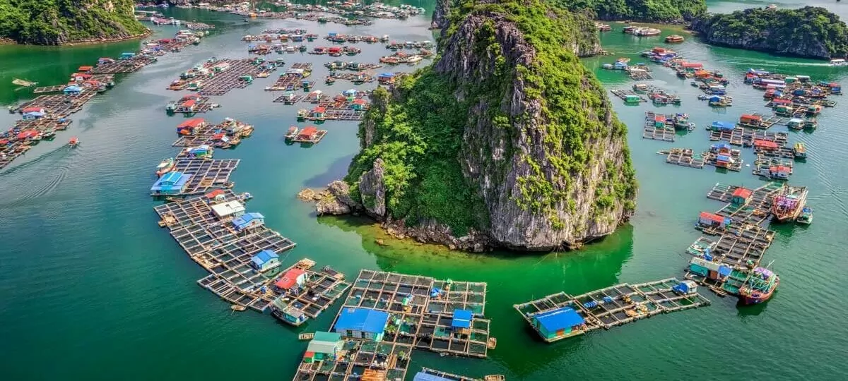 Cua Van Fishing Village colorful floating houses against towering limestone karsts in Halong Bay's UNESCO World Heritage zone, Vietnam