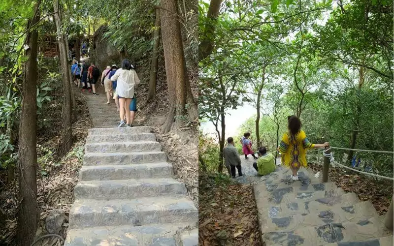 400-450 stone steps leading to Ti Top Island summit viewpoint through tropical forest, Halong Bay Vietnam