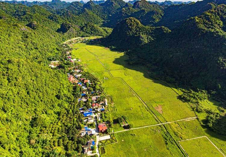 Working rice paddies in Viet Hai Village hidden valley, surrounded by limestone mountains inside Cat Ba National Park, Vietnam