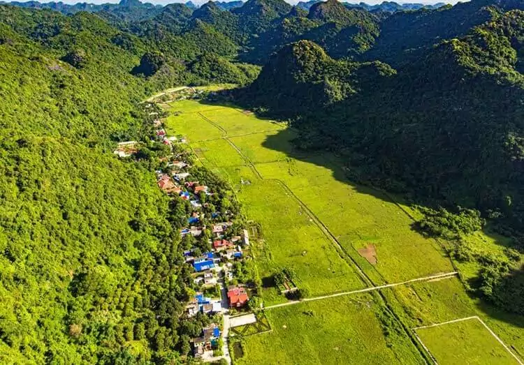 Working rice paddies in Viet Hai Village hidden valley, surrounded by limestone mountains inside Cat Ba National Park, Vietnam