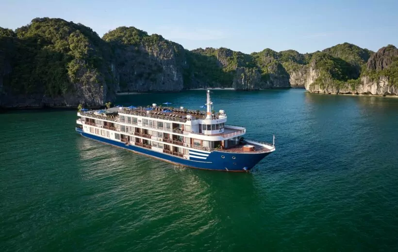 Erina Cruise