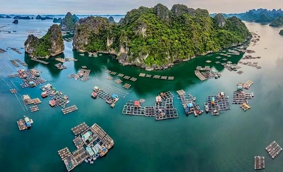 Vung Vieng Fishing Village colorful floating houses on the emerald waters of Bai Tu Long Bay, surrounded by limestone cliffs, Vietnam