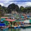 Vung Vieng Fishing Village colorful floating houses on the emerald waters of Bai Tu Long Bay, surrounded by limestone cliffs, Vietnam