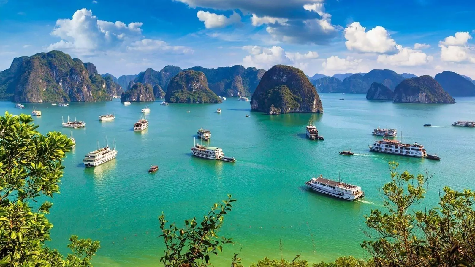 Halong Bay limestone islands covered in fresh greenery during spring season