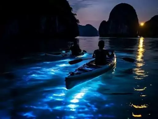 Bioluminescent plankton glowing blue-green in Ao Ech Area's dark waters during night kayaking -- Lan Ha Bay's most magical after-dark experience