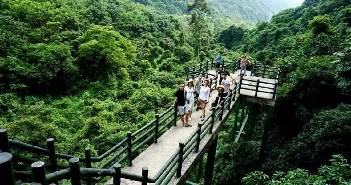 Jungle trail through Cat Ba National Park leading to Trung Trang Cave's wooden staircase entrance, Cat Ba Island Vietnam