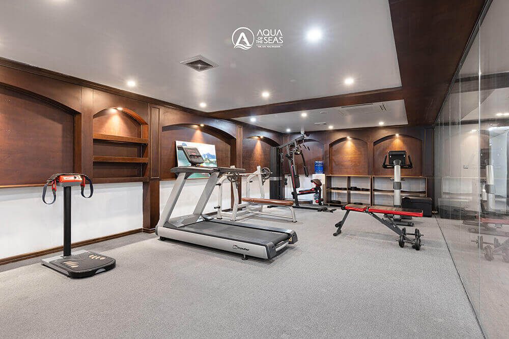 Fitness room on Aqua Of The Seas Cruise with gym equipment