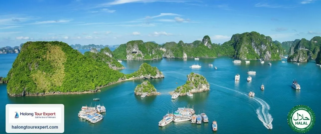 Best Halong Bay Halal Muslim cruises 2026 — 100% Halal certified aerial view of Halong Bay