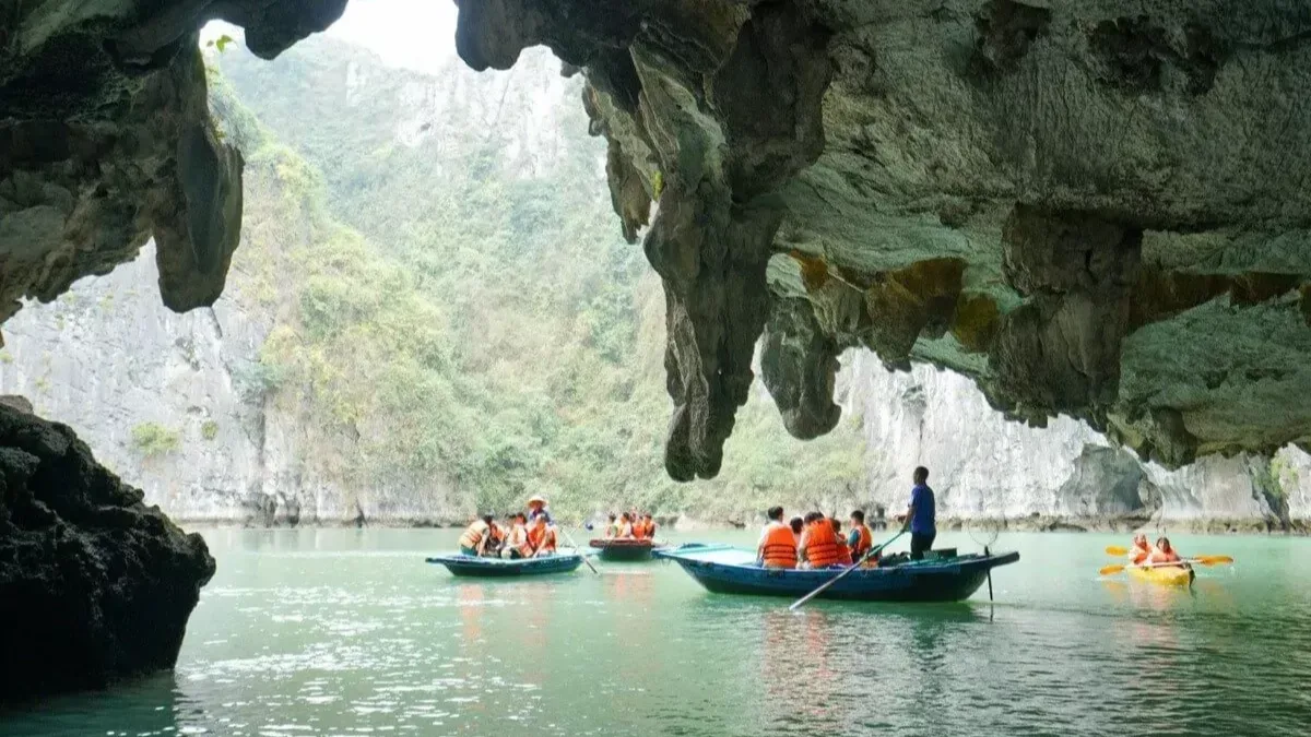 Kayaking Experience & Boat Rowing in Luon Cave Halong Bay Vietnam