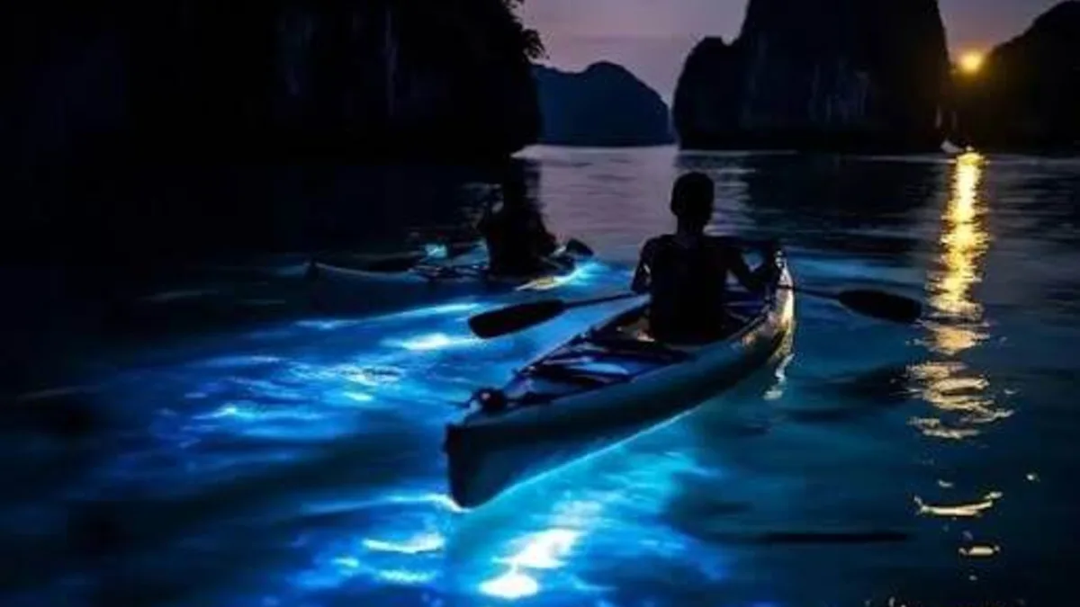 Bioluminescent plankton glowing blue-green in Ao Ech Area's dark waters during night kayaking -- Lan Ha Bay's most magical after-dark experience