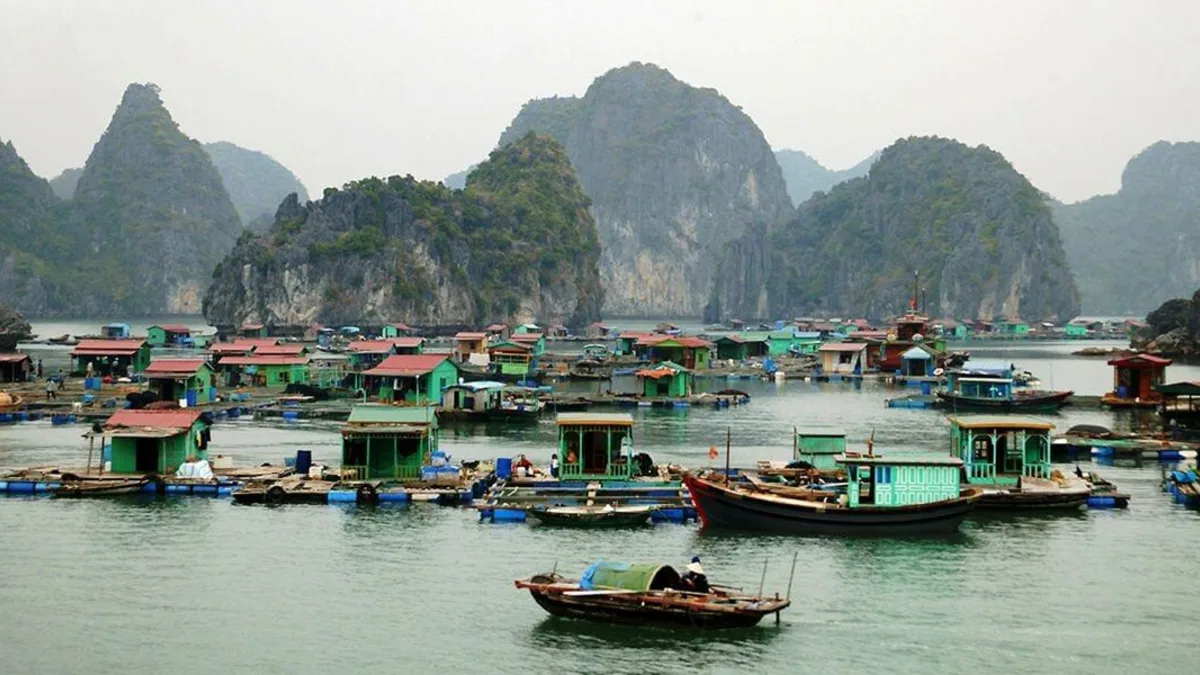 Cap La Floating Fishing Village -- one of 4 UNESCO World Heritage floating villages in the bay region, with 80 households living entirely on the water between Bai Tu Long Bay and Halong Bay