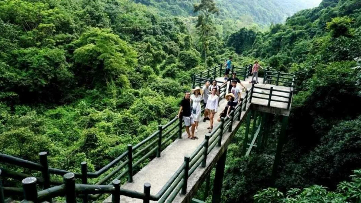 Jungle trail through Cat Ba National Park leading to Trung Trang Cave's wooden staircase entrance, Cat Ba Island Vietnam