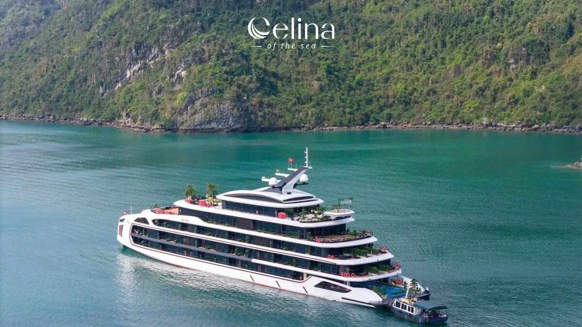 Guests transfer by speedboat from Tuan Chau to Celina of the Sea Cruise