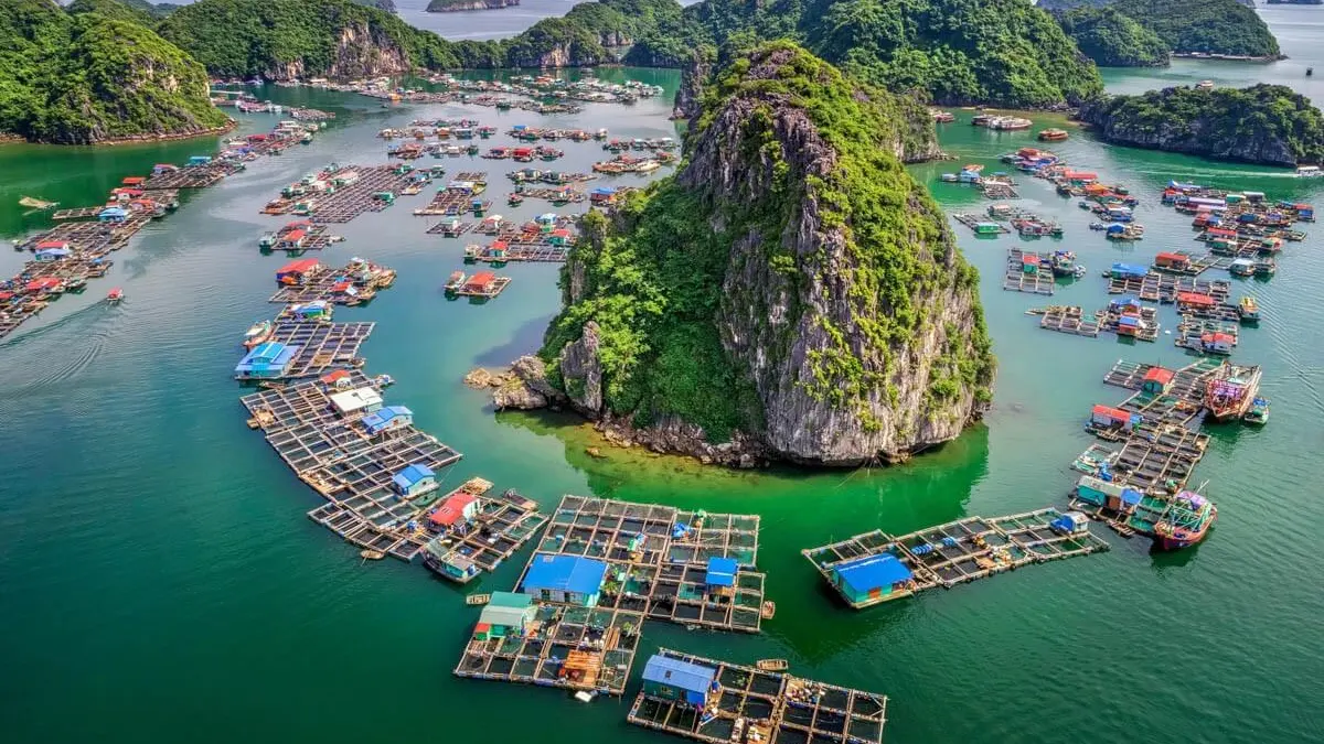 Cua Van Fishing Village colorful floating houses against towering limestone karsts in Halong Bay's UNESCO World Heritage zone, Vietnam