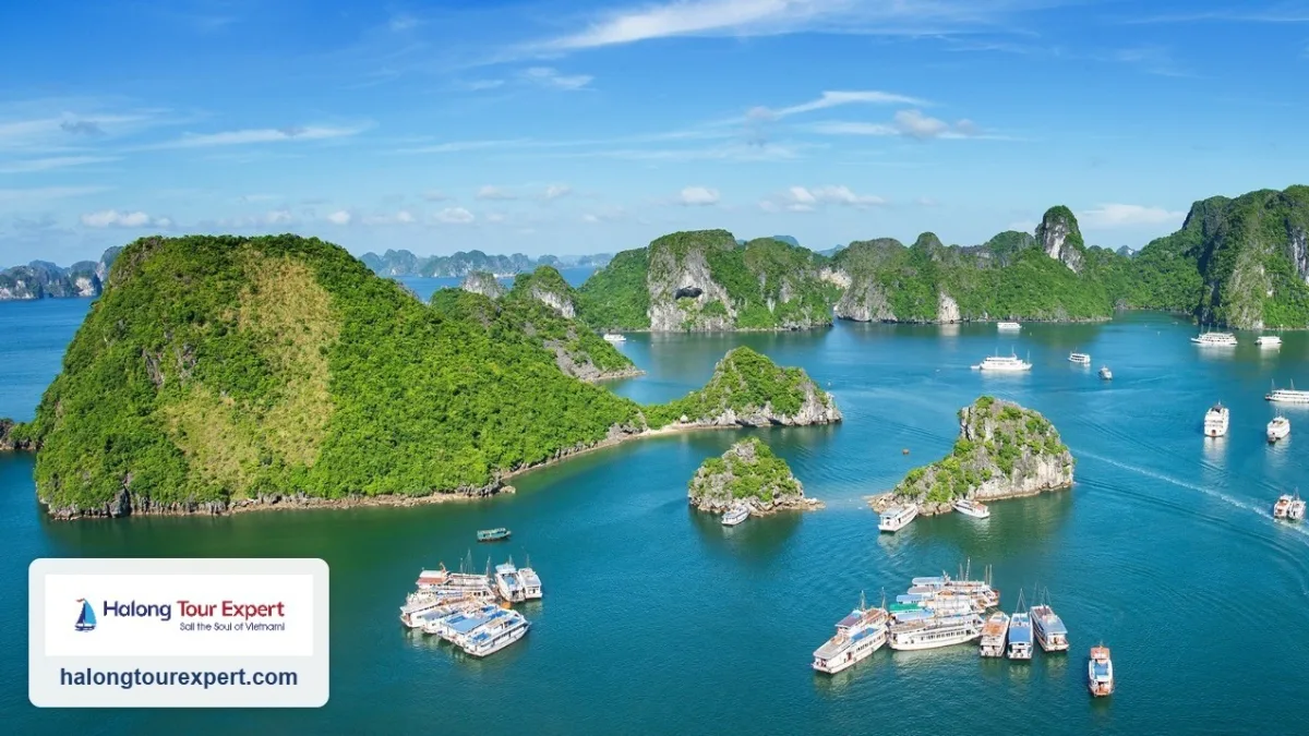 Halal Halong Bay Cruises 2026: Certified Ships for Muslim Travellers