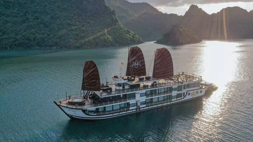 Orchid Classic Cruise - Top boutique luxury cruises to Lan Ha Bay