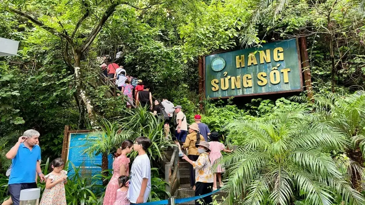 Stone steps leading up to Sung Sot Cave entrance through lush forest canopy on Bo Hon Island, Halong Bay Vietnam